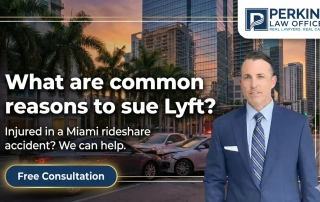 What are common reasons to sue Lyft?